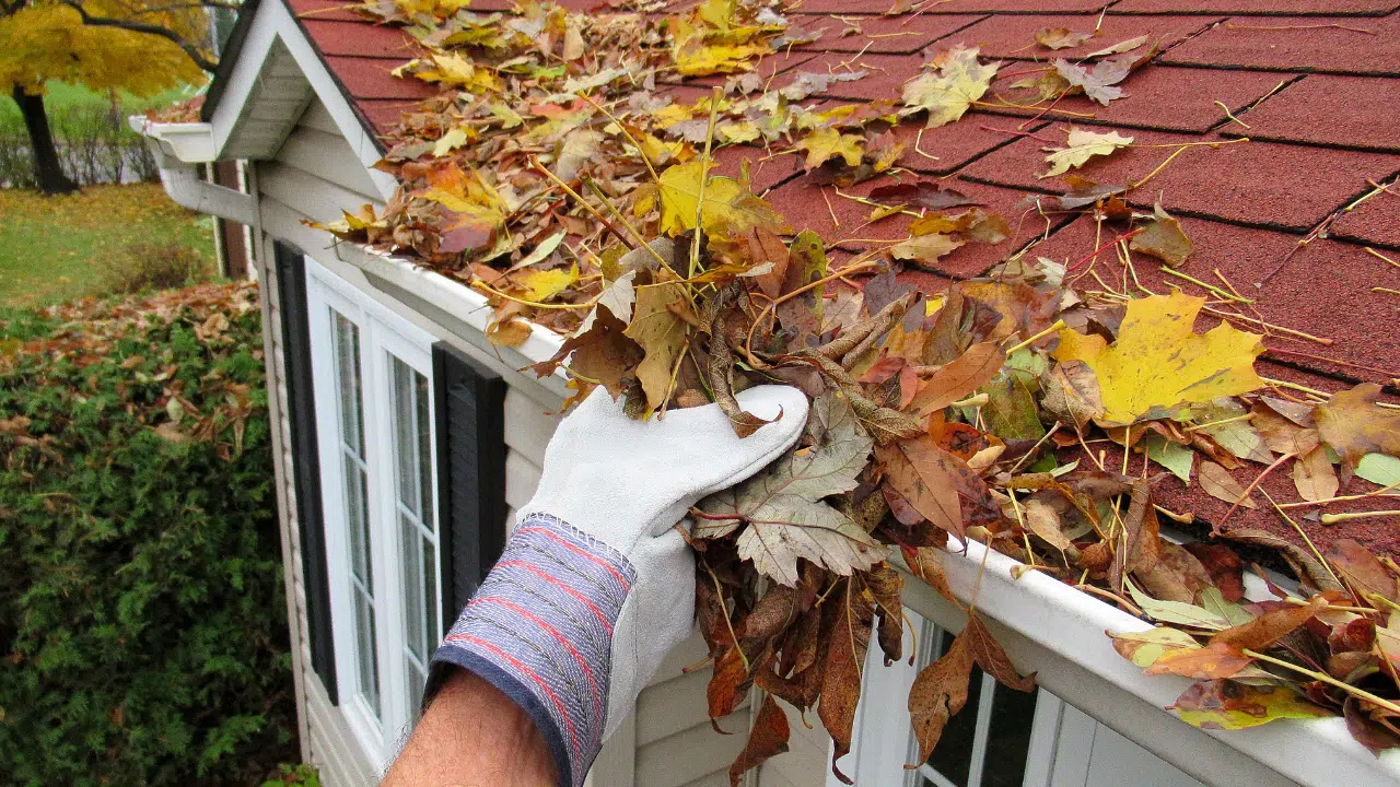 fall-home-maintenance-newfoundland-wedgwood-insurance